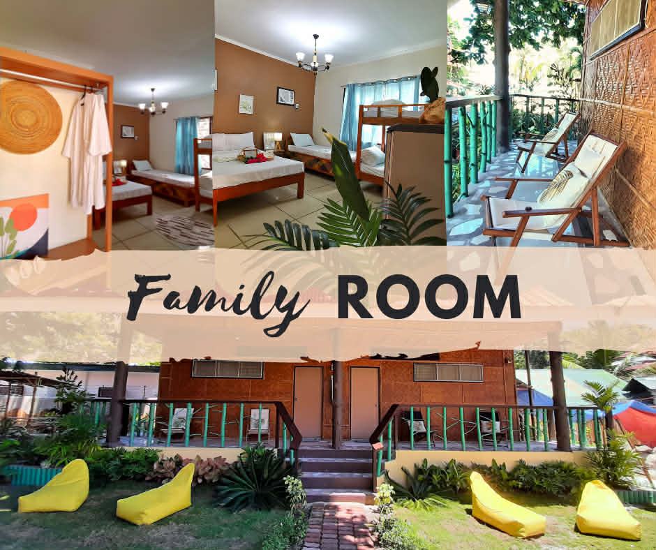 Family Room photo 1